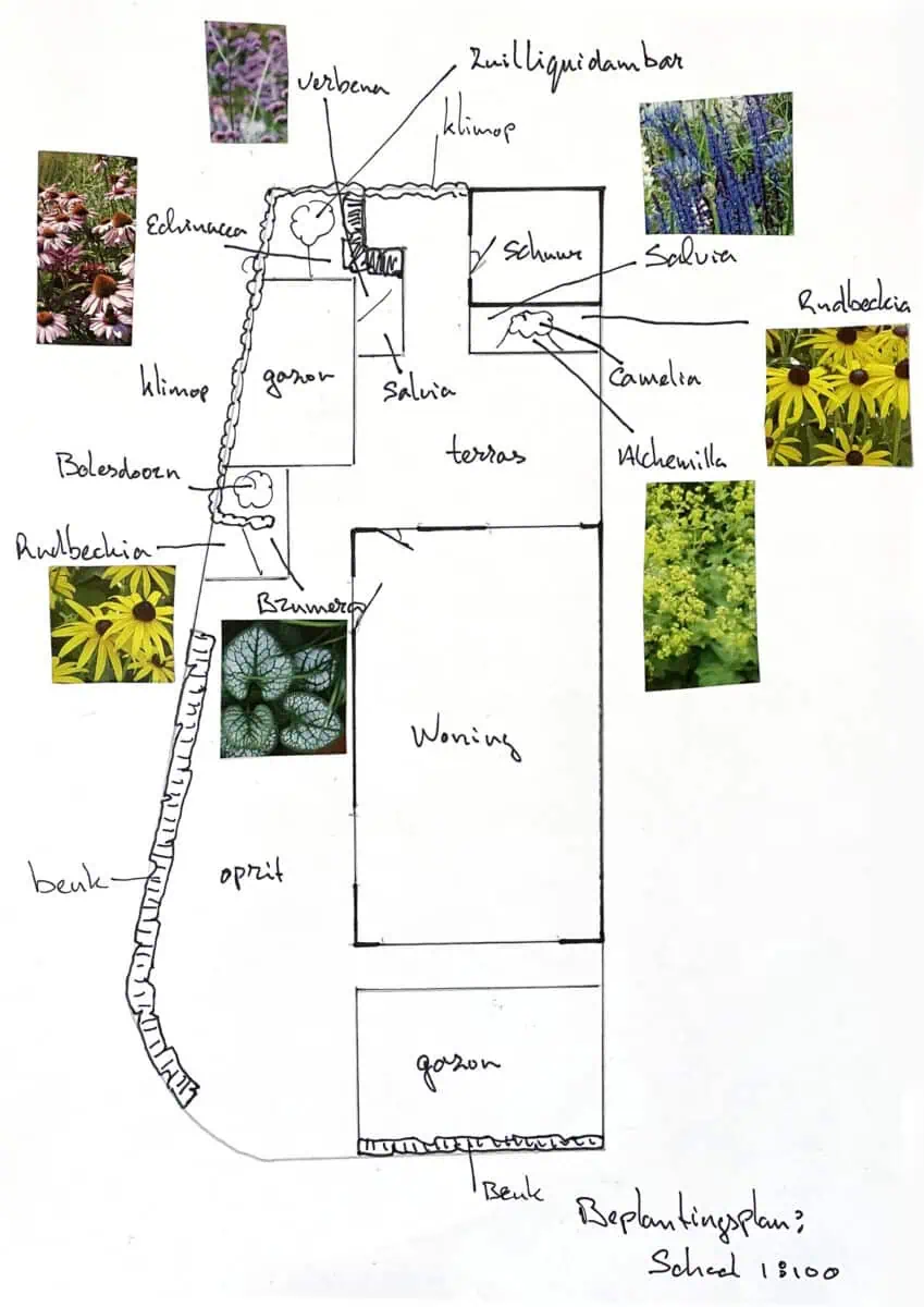 schets tuinrenovatie 3