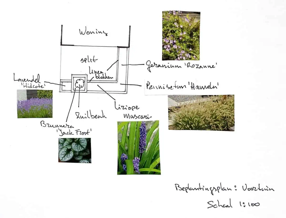 schets tuinrenovatie 4